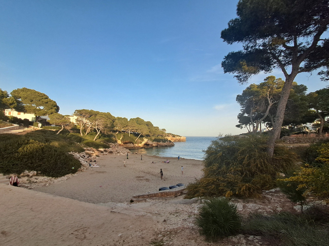 Cala Esmeralda Beach-卡拉多尔必去景点
