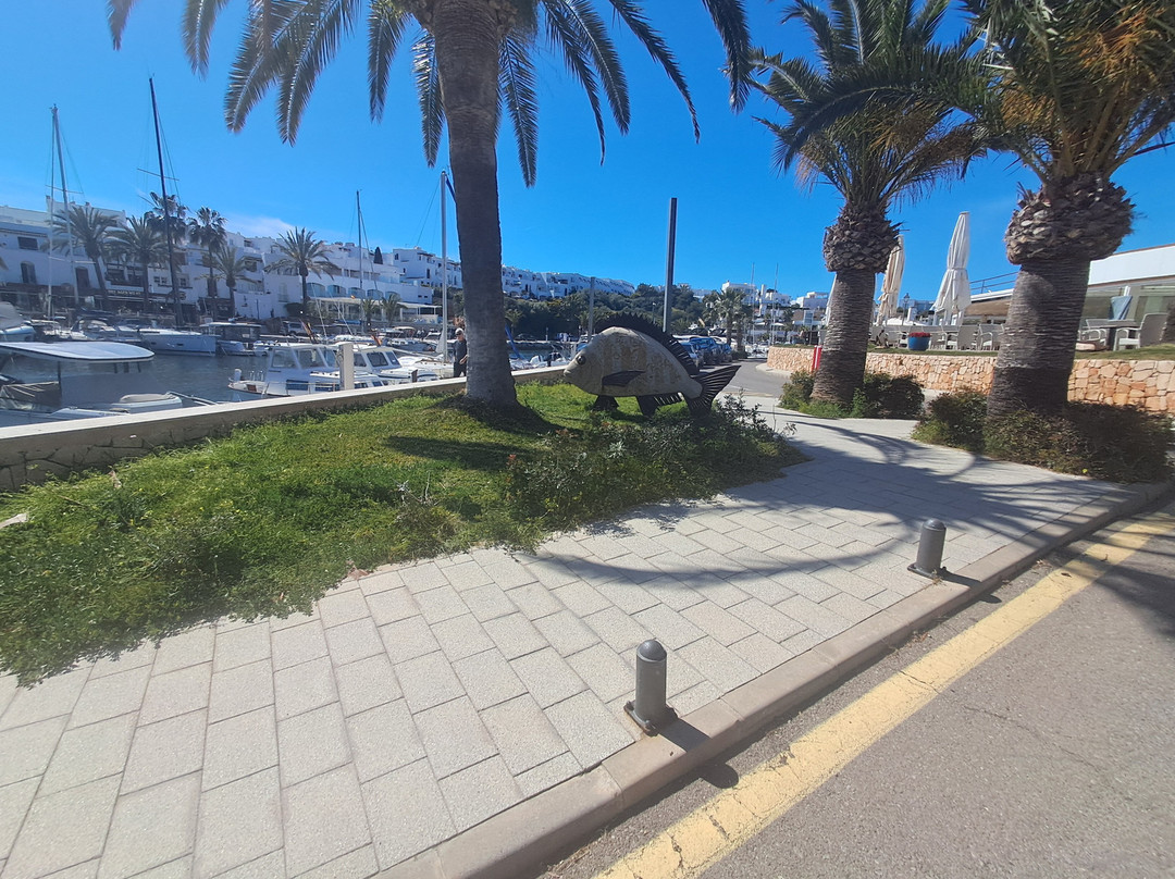 Marina De Cala D'Or-卡拉多尔必去景点