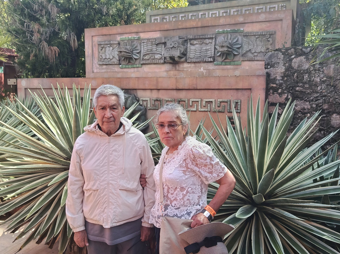 Hacienda Oxman Cenote-巴利亚多利德必去景点