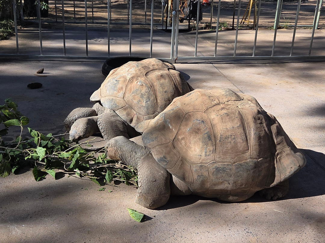 Taronga Western Plains Zoo-达博必去景点
