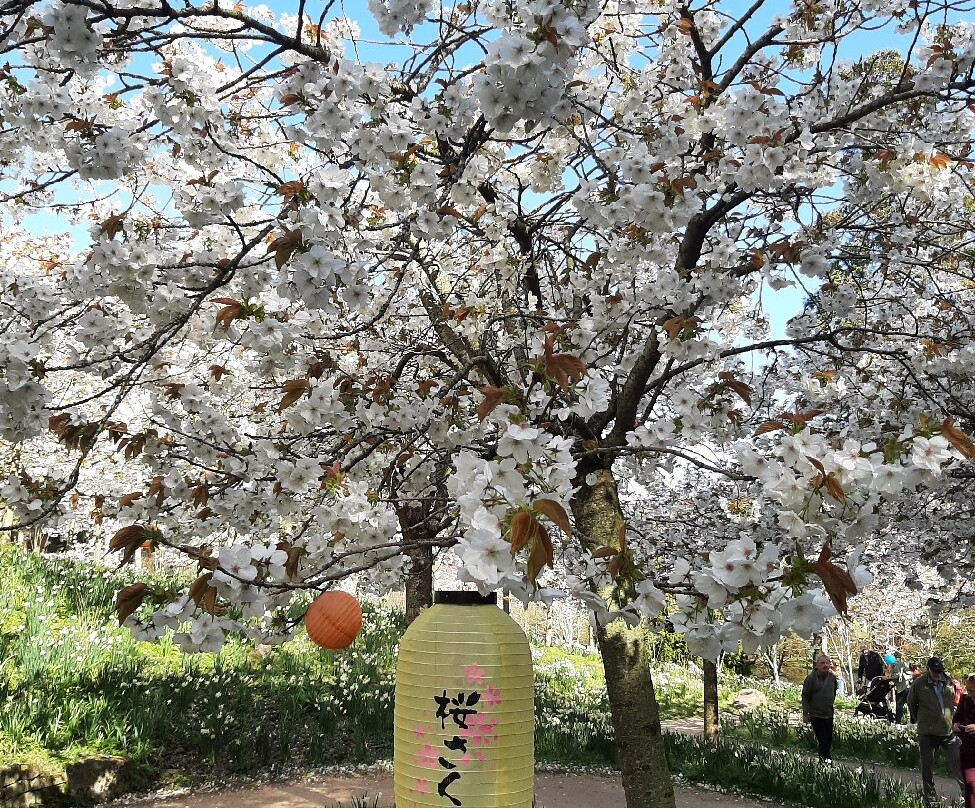 The Alnwick Garden-阿尼克必去景点
