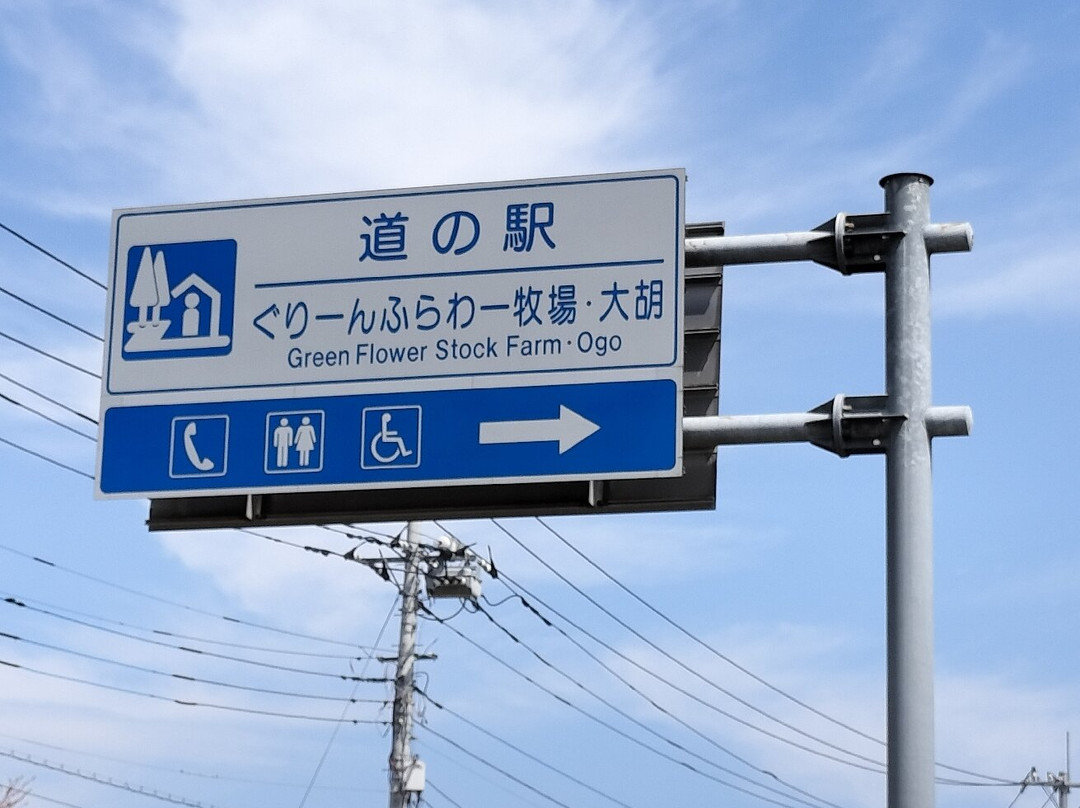 Michi-no-Eki Green Flower Farm Taiko-前桥县必去景点