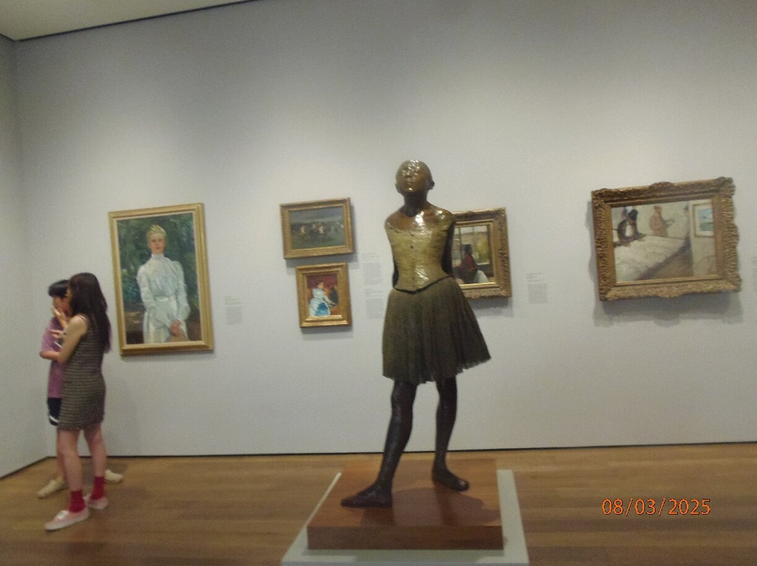 Harvard Art Museums-剑桥必去景点