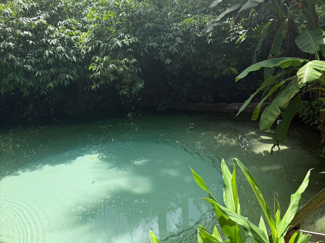 Cerrado Dourado Expedições-Jalapao State Park必去景点