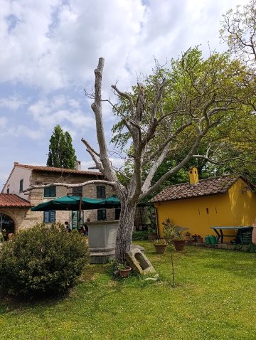 Casale La Piaggia-旅行者