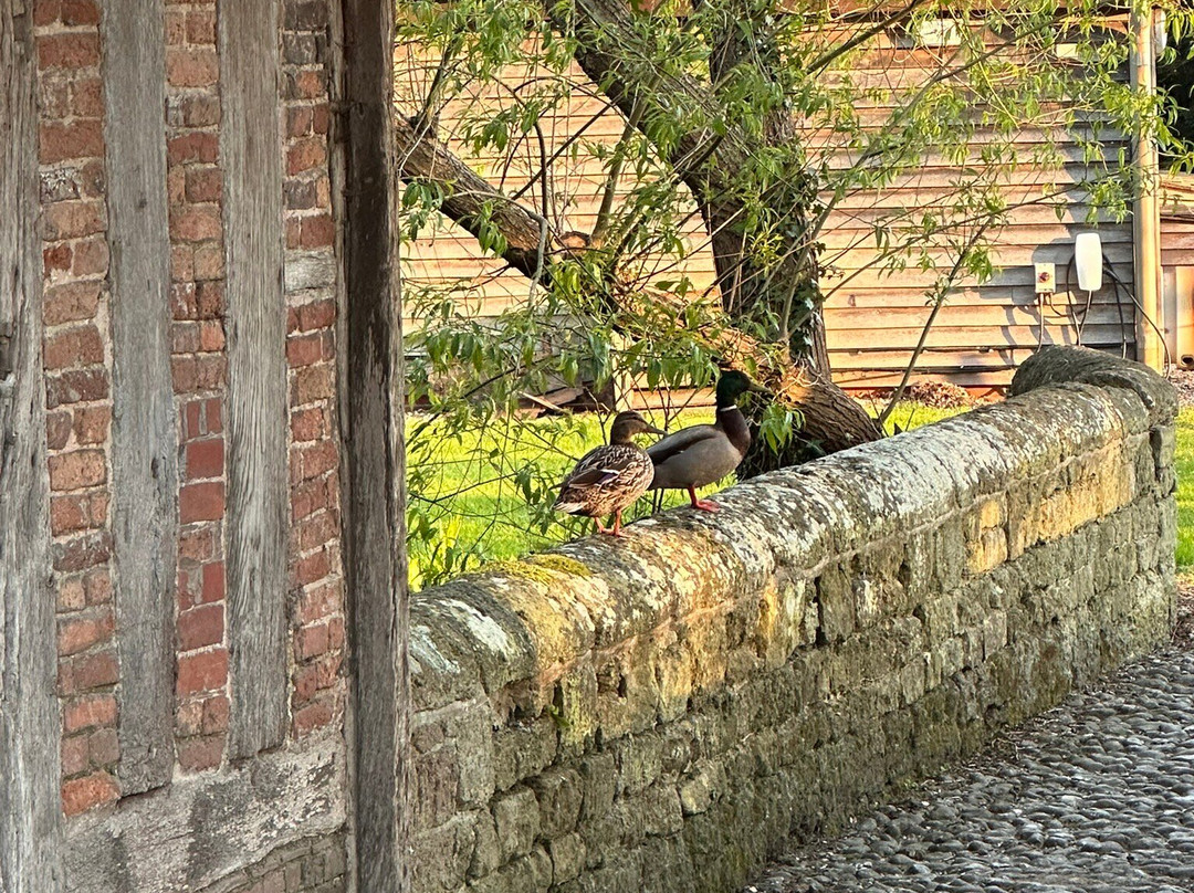 拜里弗斯考特酒店及水疗中心主图