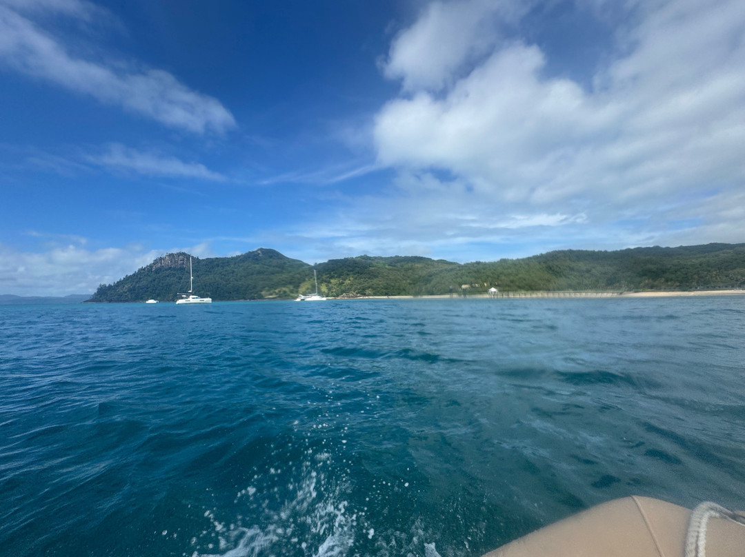 Cumberland Charter Yachts-艾尔利滩必去景点