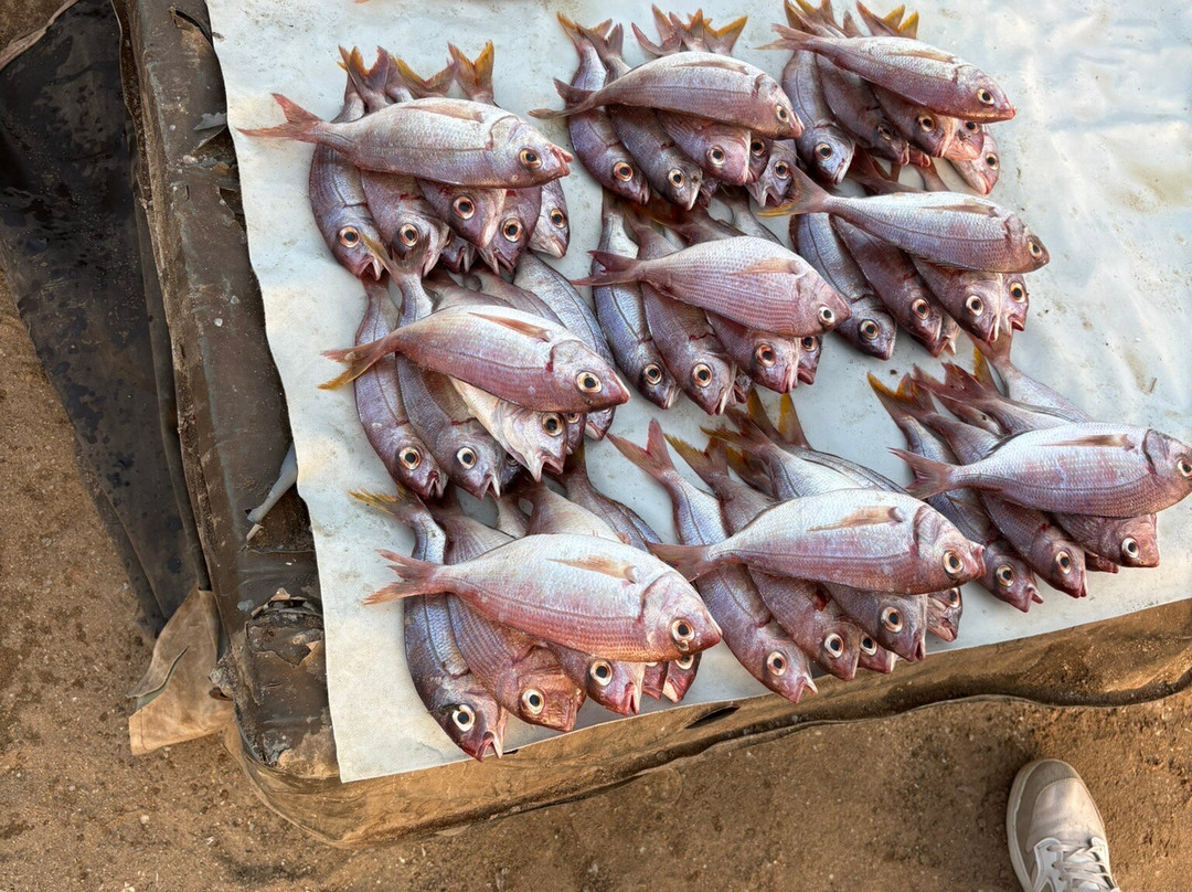 DST Travels Sénégal-Nianing必去景点