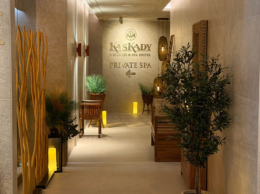 健康与水疗酒店 Kaskady主图
