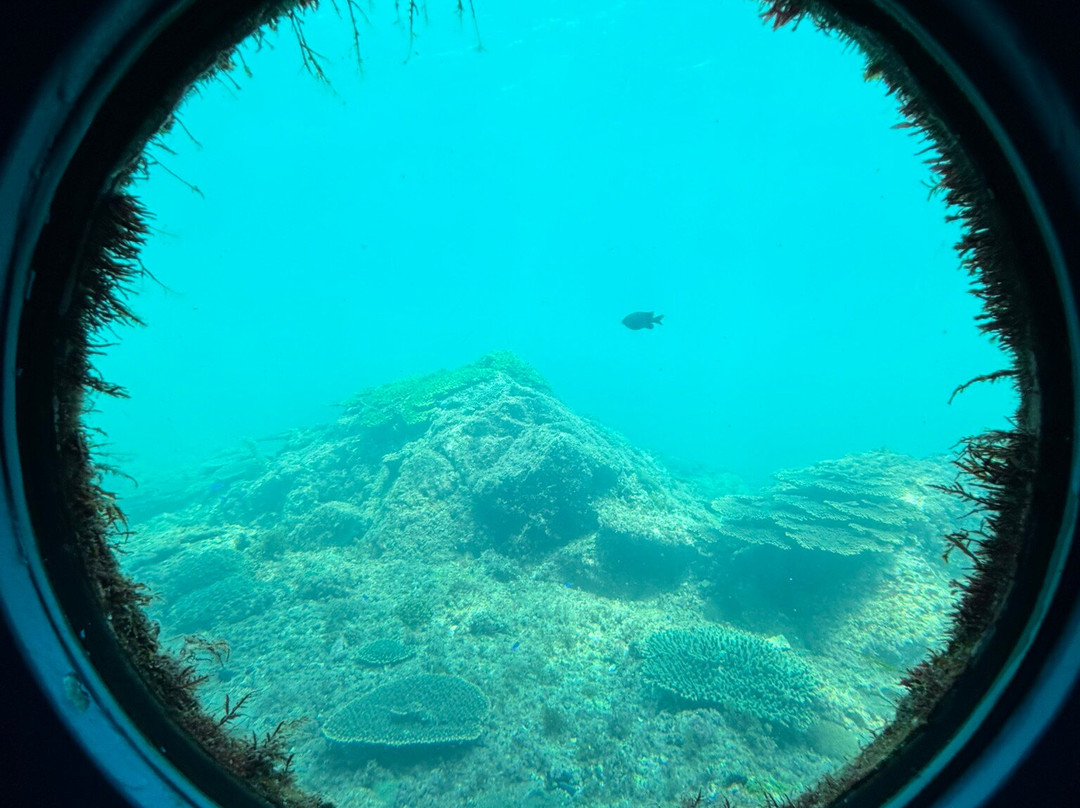 Kushimoto Marine Park Undersea Tower-串本町必去景点