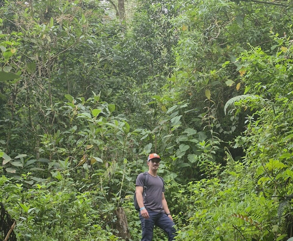 Valle De Cocora-萨伦托必去景点