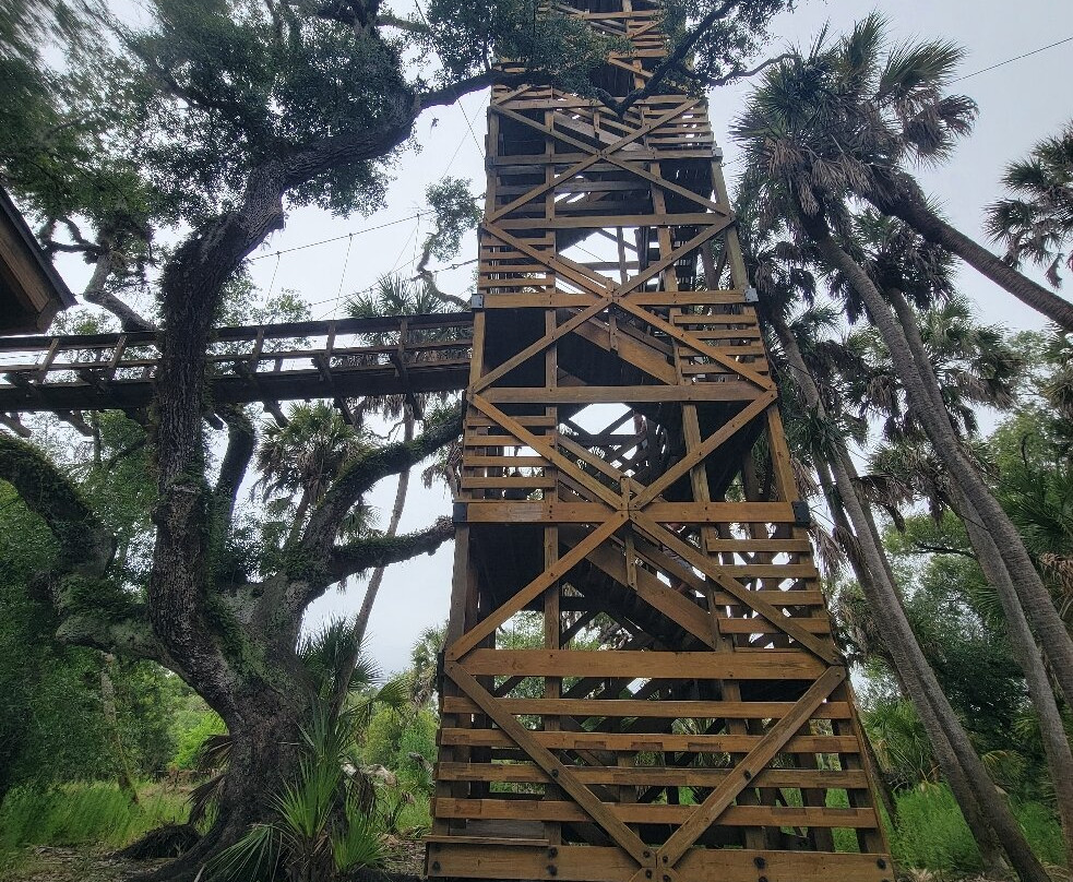 Myakka River State Park-萨拉索塔必去景点