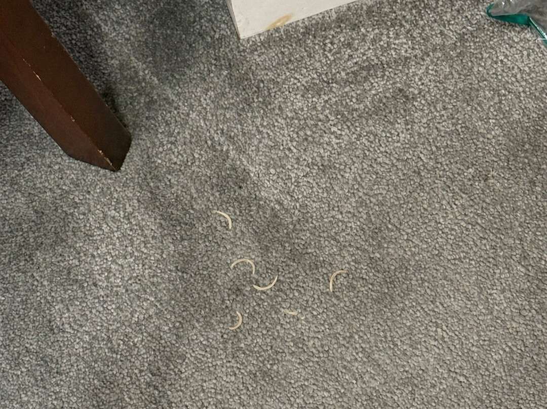 芒特普莱森特酒店主图