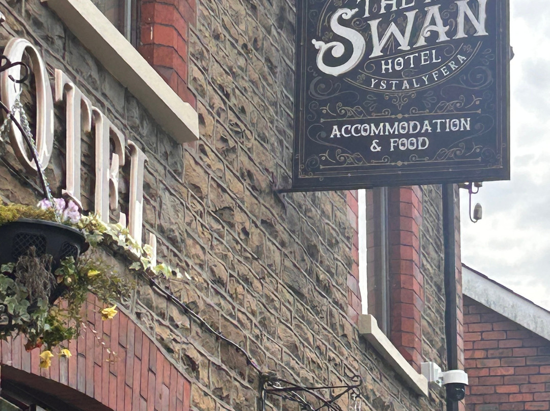The New Swan Hotel主图