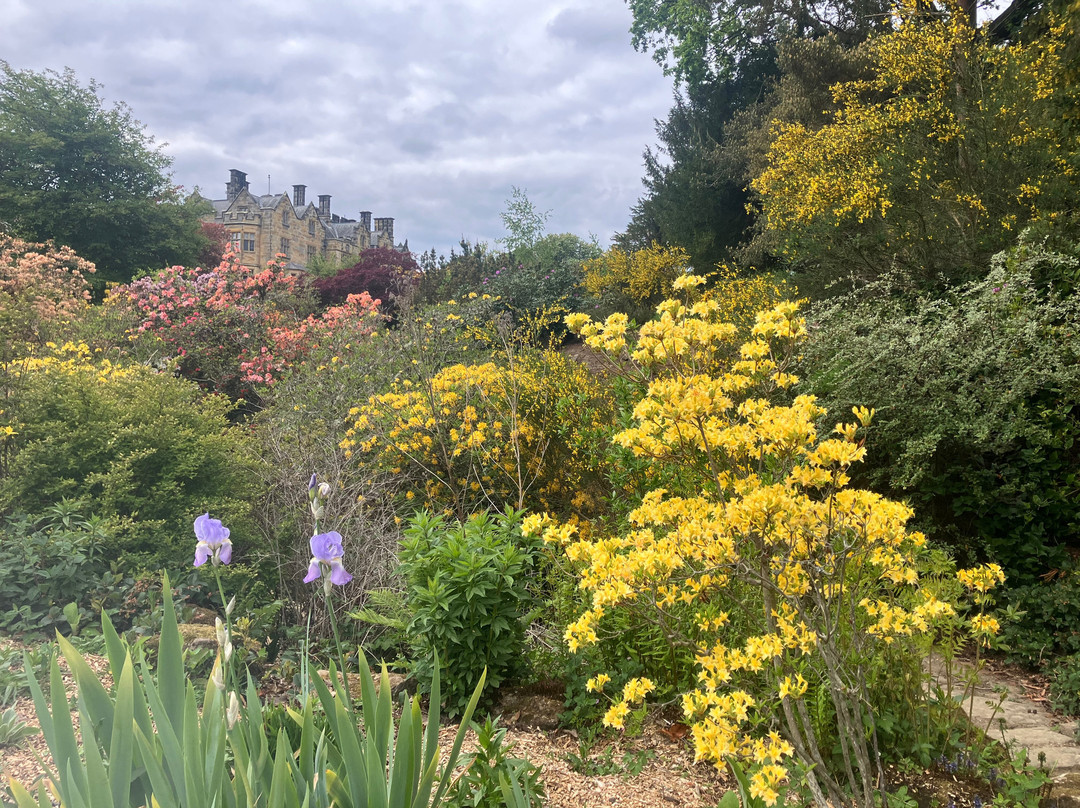 Scotney Castle Garden-Lamberhurst必去景点