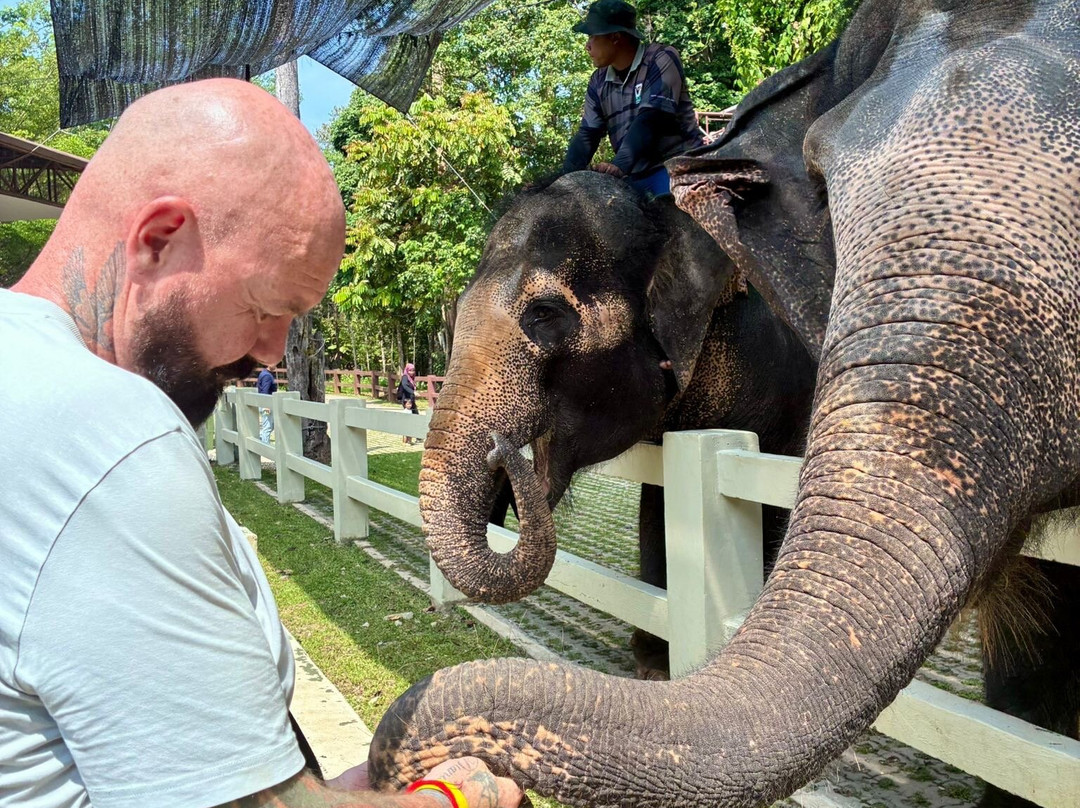 Kuala Gandah Elephant Sanctuary-彭亨必去景点