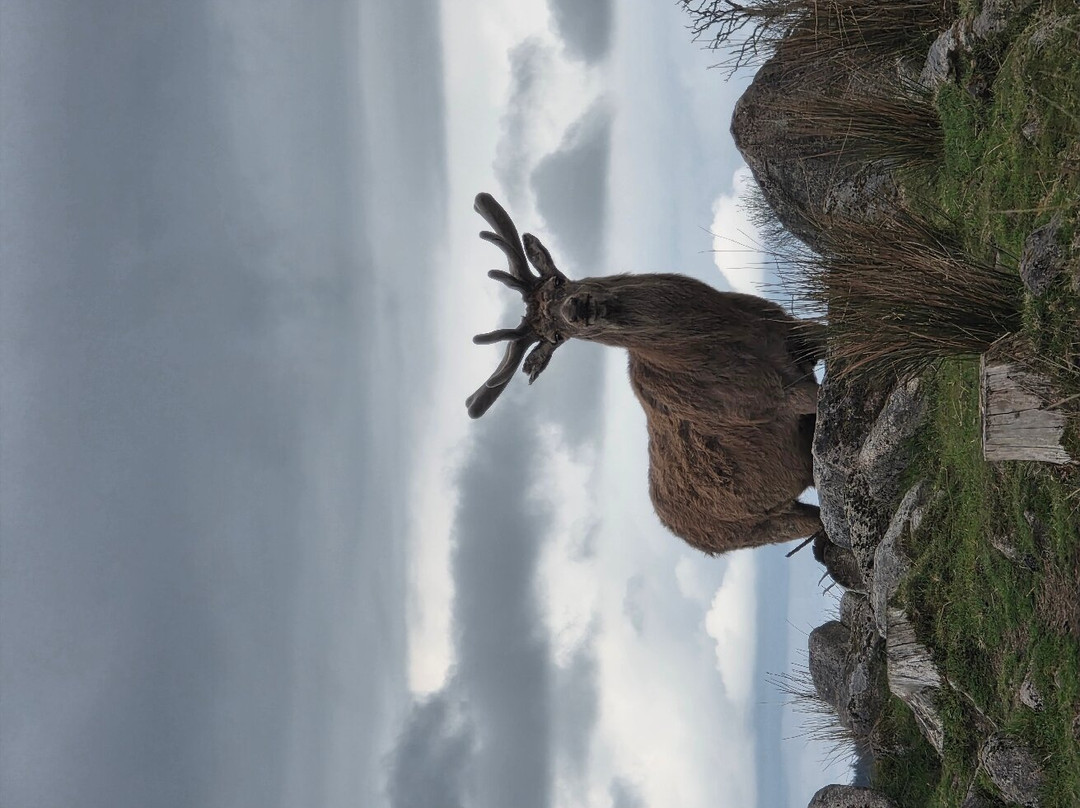 Bainloch Deer Park-Dalbeattie必去景点