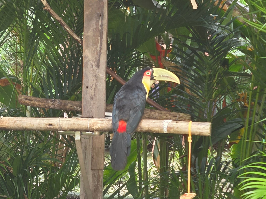 Parque Arvorar-Aquiraz必去景点