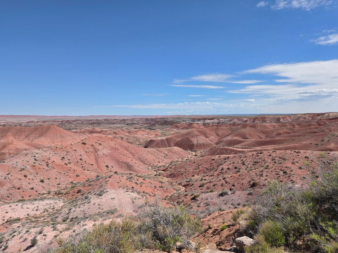 Painted Desert-石化林国家公园必去景点