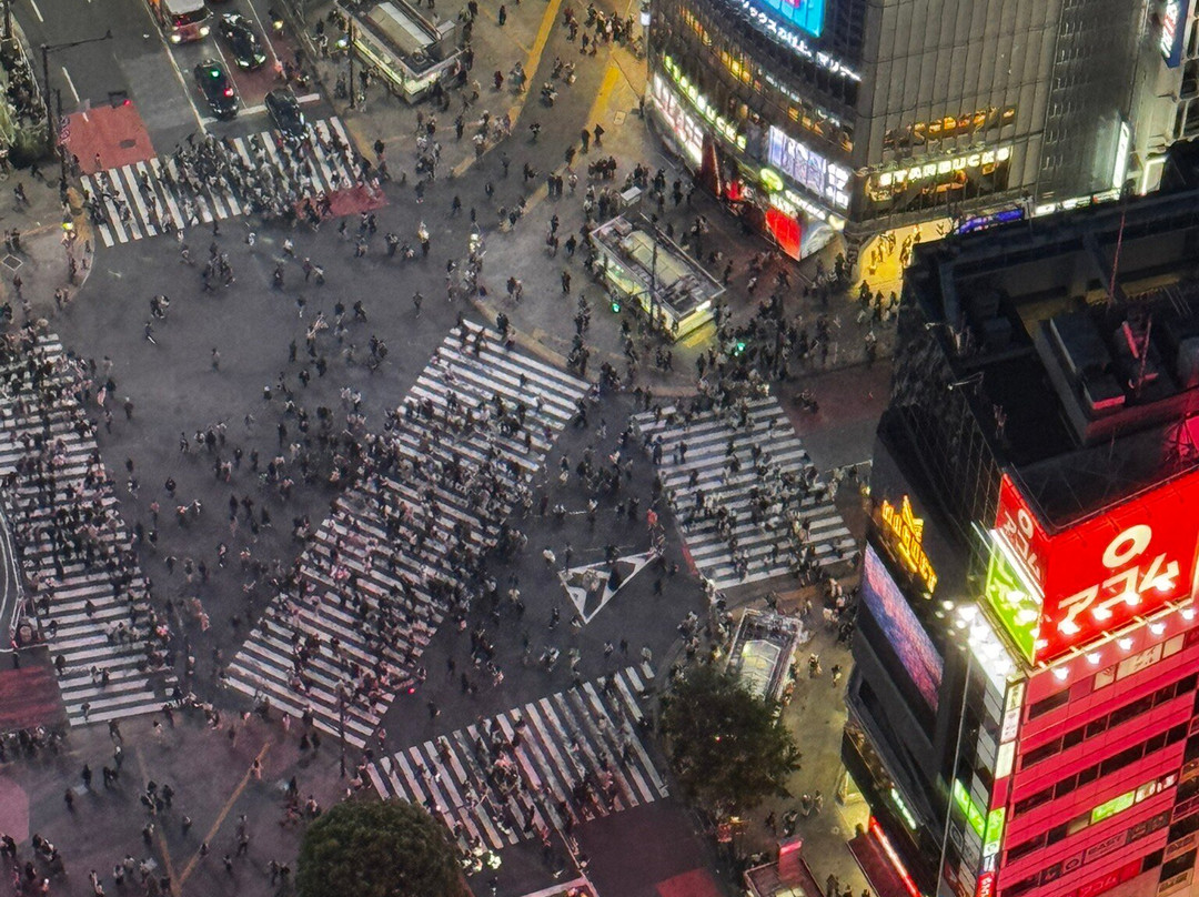 Shibuya Sky-涩谷区必去景点