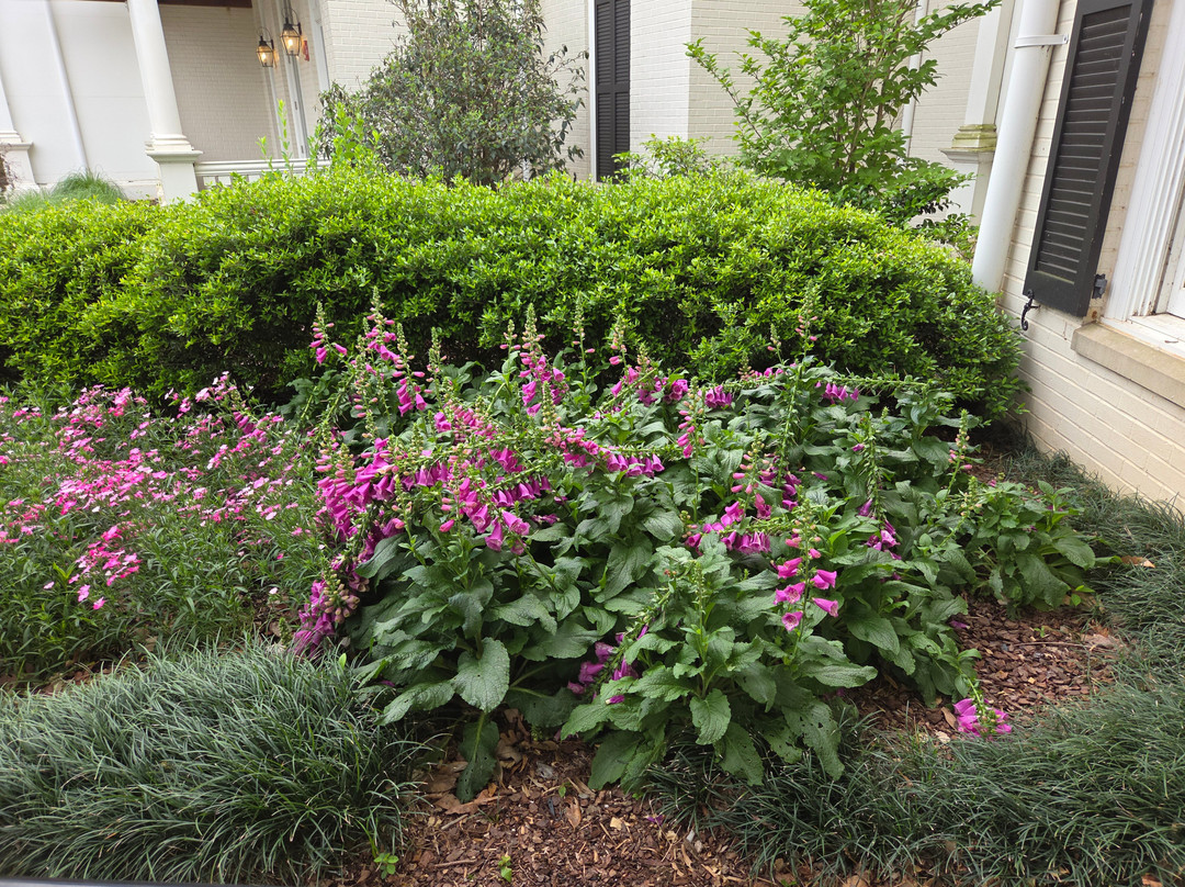 Huntsville Botanical Garden-亨茨维尔必去景点