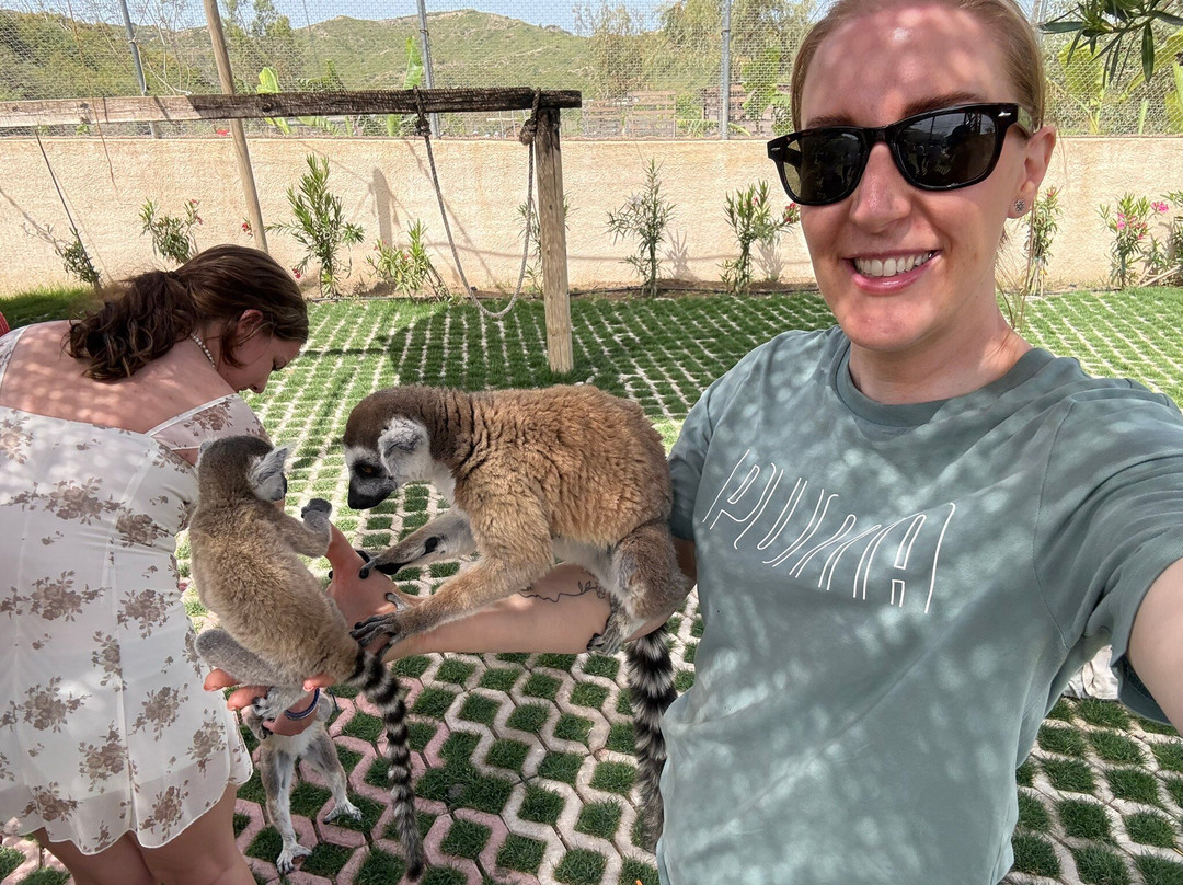 Farma of Rhodes Petting Zoo-Theologos必去景点