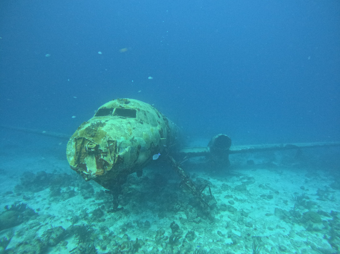 JADS Dive Center-San Nicolas必去景点