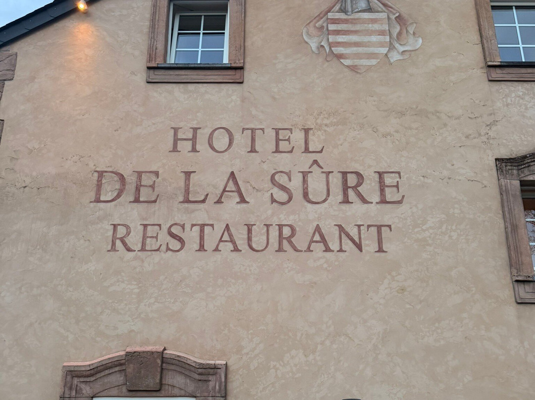 Logis Gourmet & Relax Wellness Hotel de La Sure主图
