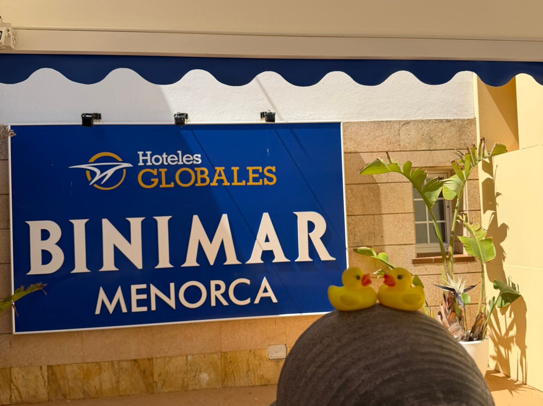 Globales Binimar主图