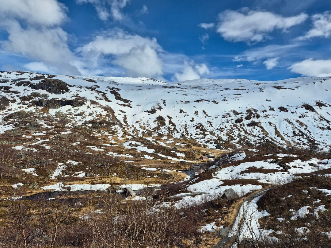 The Bergen Railway-奥斯陆必去景点