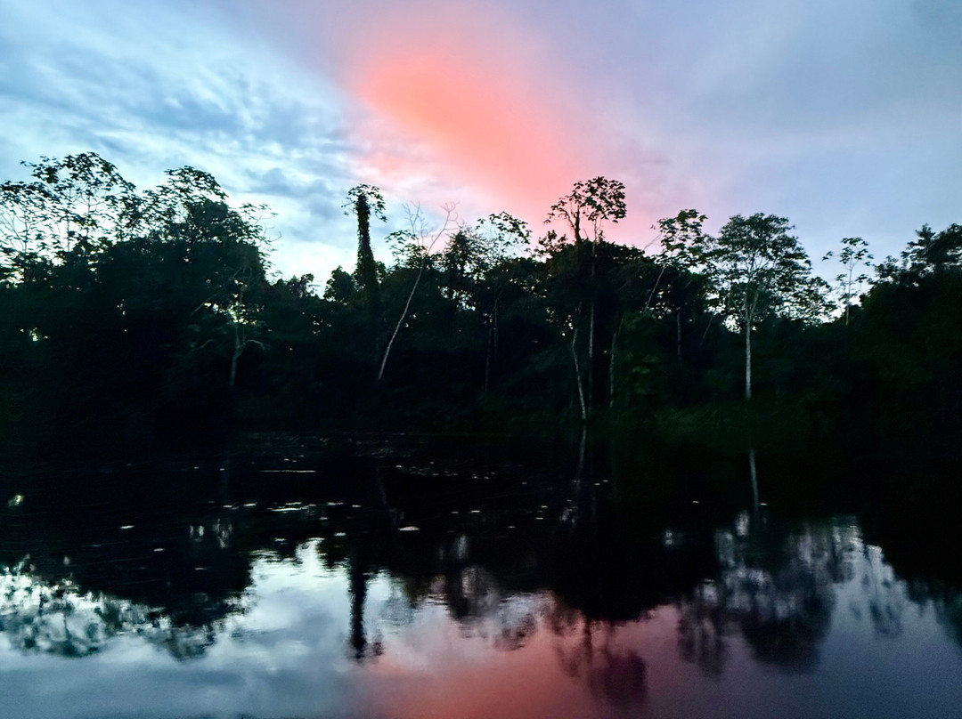 Tapiche Jungle Reserve-伊基托斯必去景点