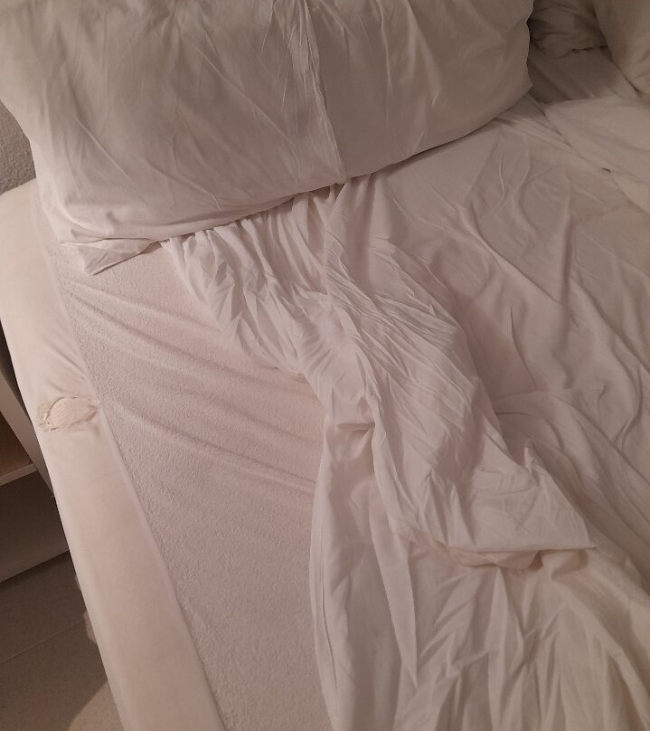 艾伍莲梅诺卡公寓主图