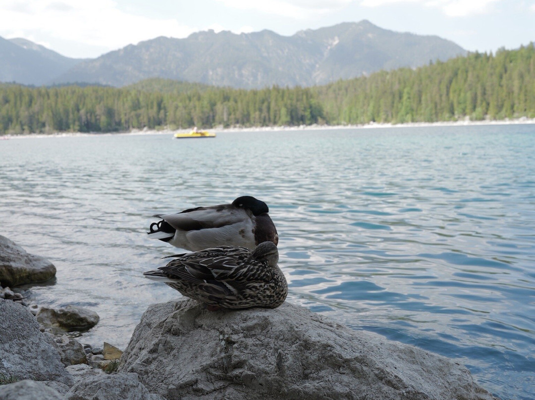 Eibsee-Grainau必去景点