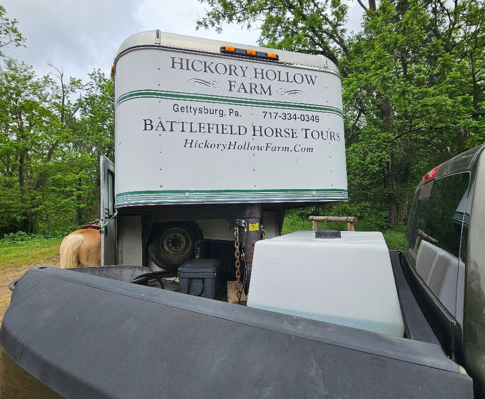 Hickory Hollow Horse Farm-葛底斯堡必去景点