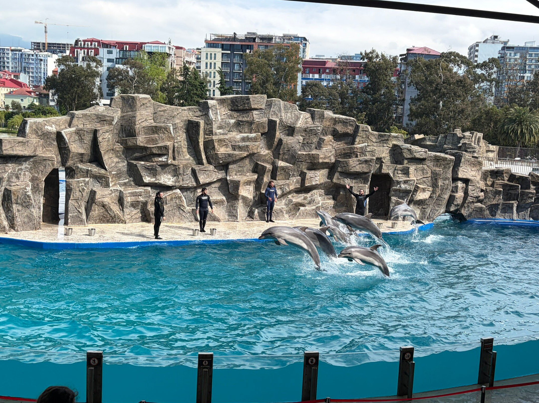 Batumi Dolphinarium-巴统必去景点