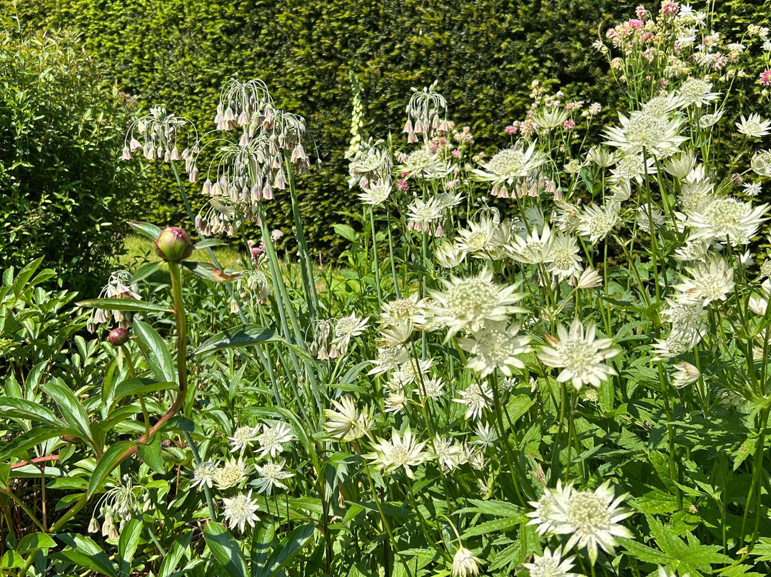 Llysdinam Gardens-Newbridge-on-Wye必去景点