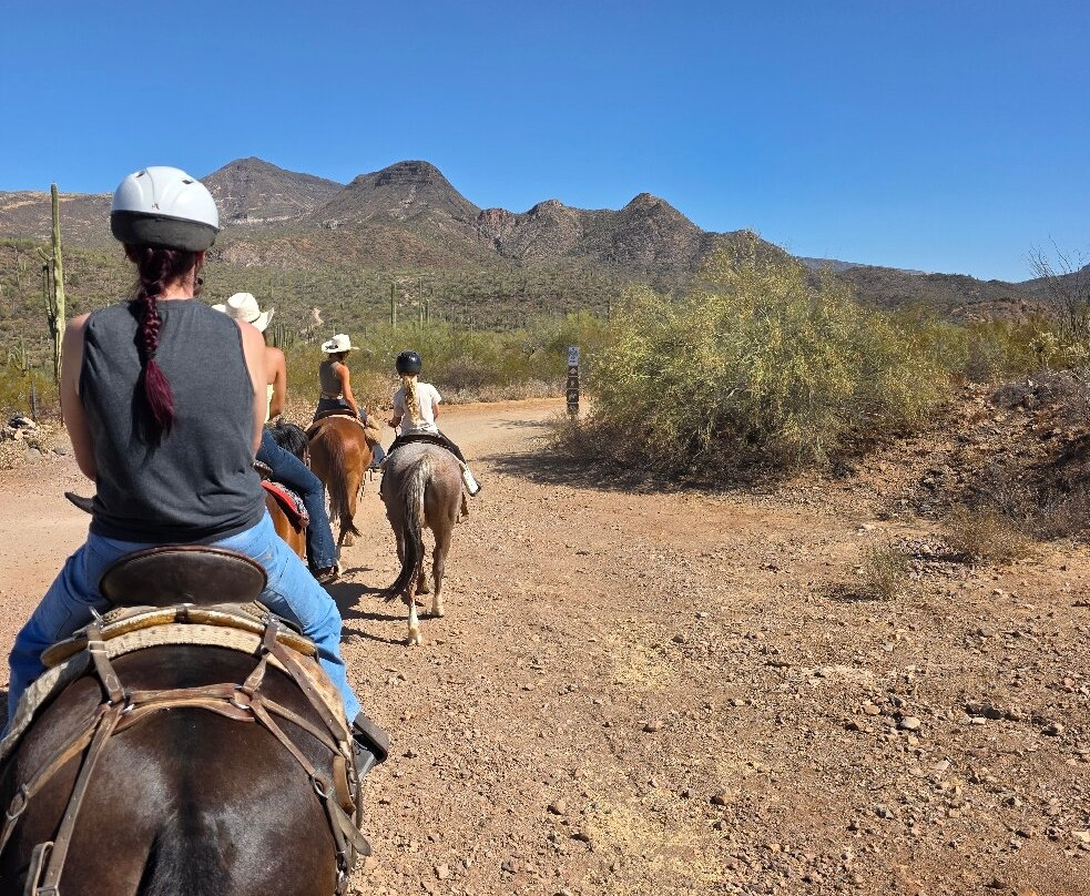 Arizona Horseback Adventures at Spur Cross-洞溪必去景点