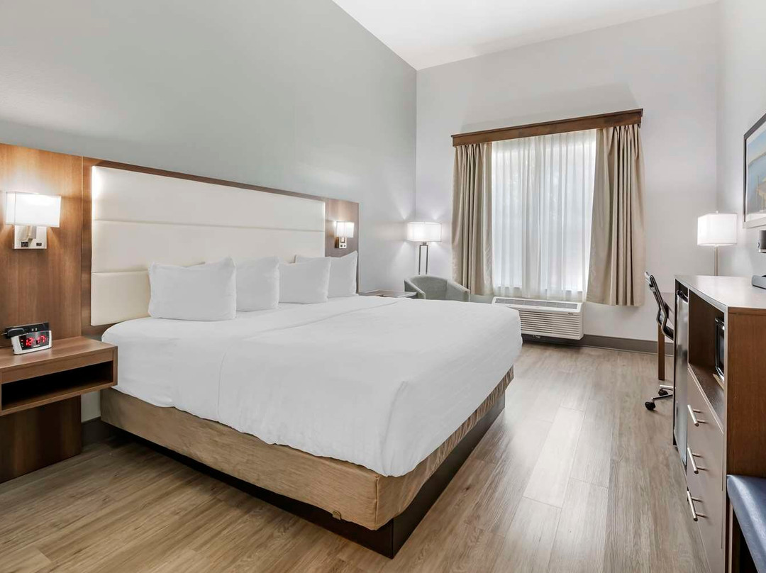 Callahan酒店住宿-Best Western Plus First Coast Inn & Suites