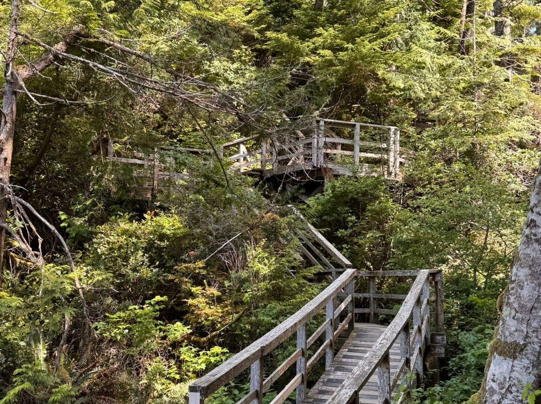 Tonquin Park-托菲诺必去景点