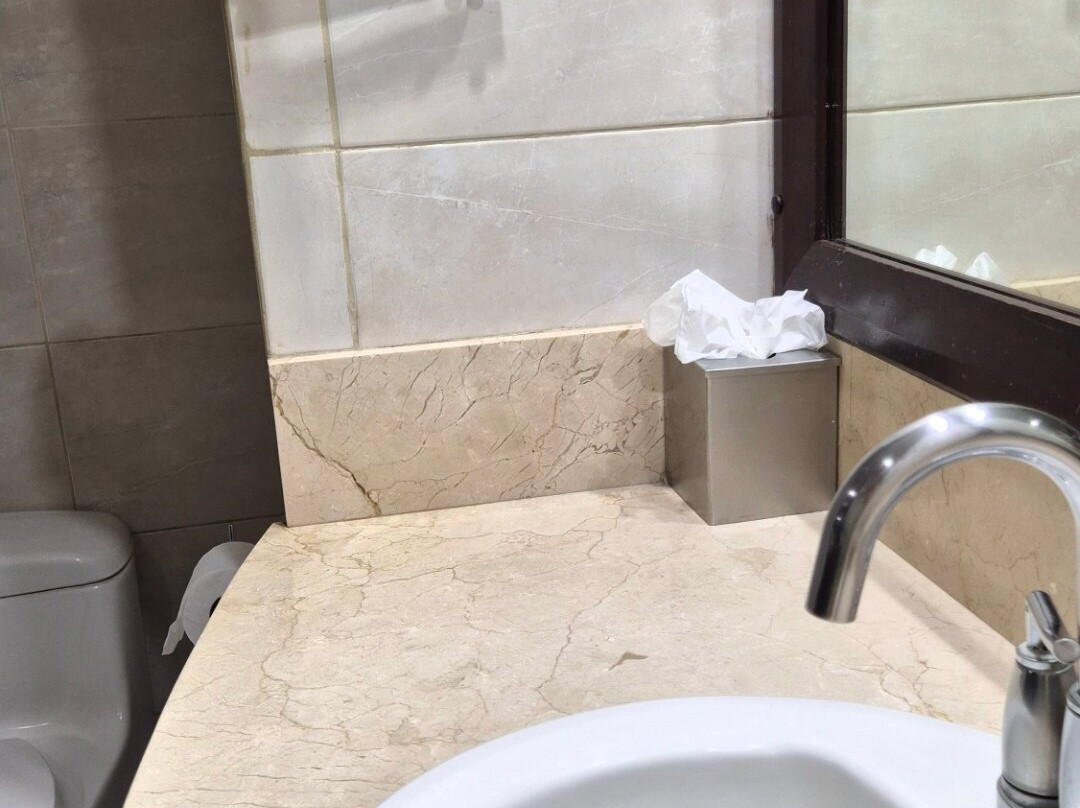 哥斯达黎加圣何塞丽笙酒店主图
