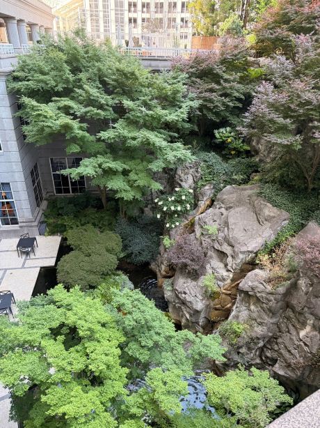 亚特兰大巴克海特君悦酒店-旅行者