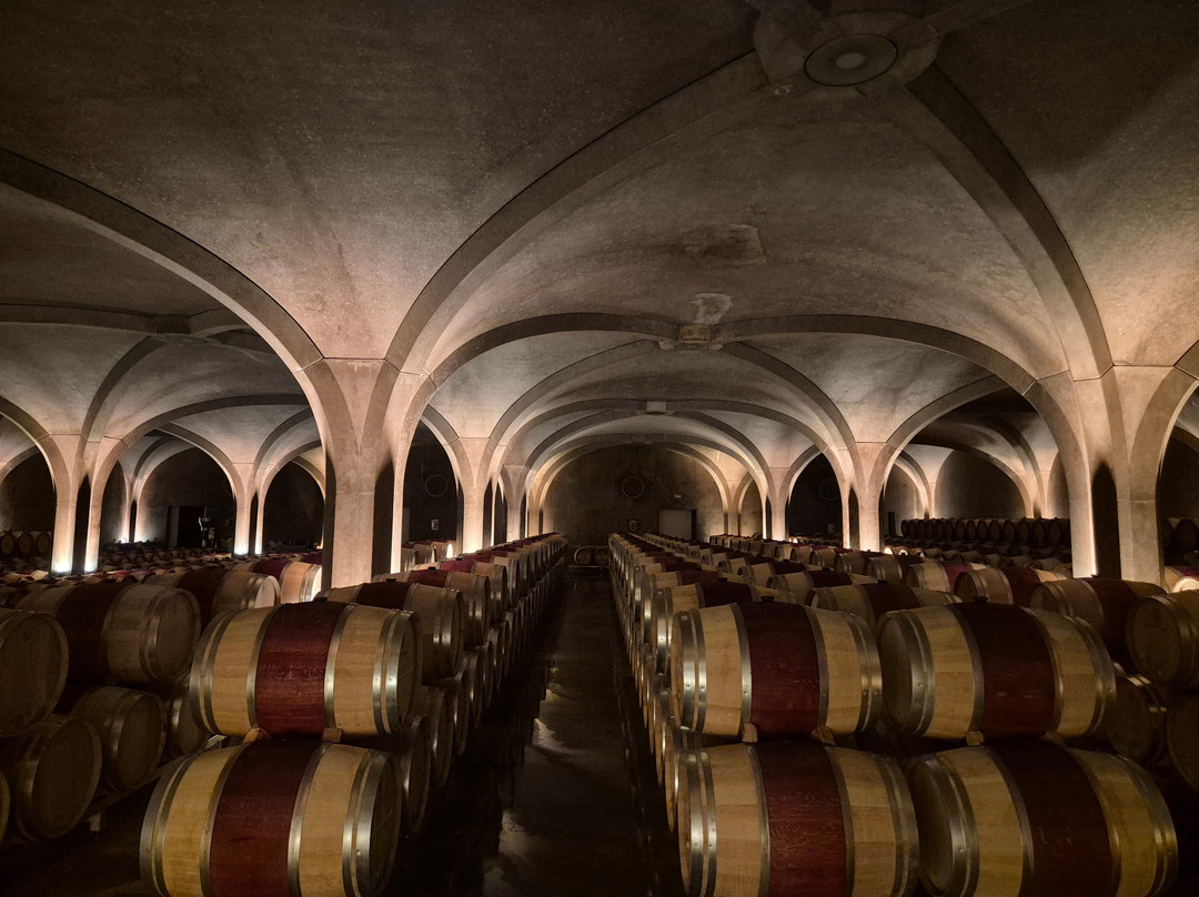 Château Gruaud Larose-Saint-Julien-Beychevelle必去景点