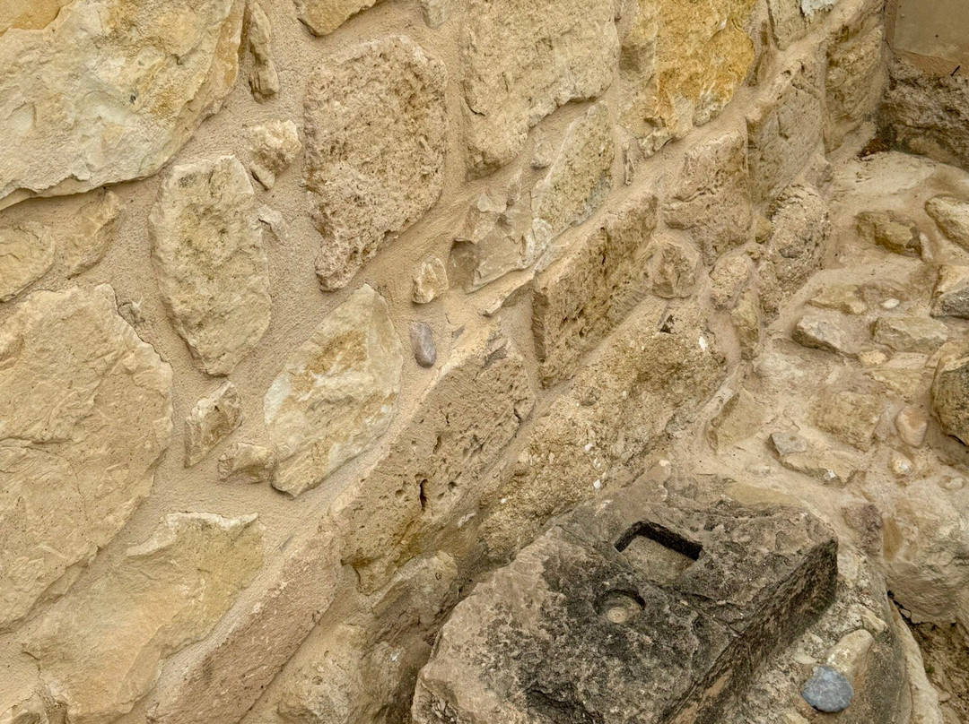 Tossal de Manises (Lucentum)-阿利坎特省必去景点