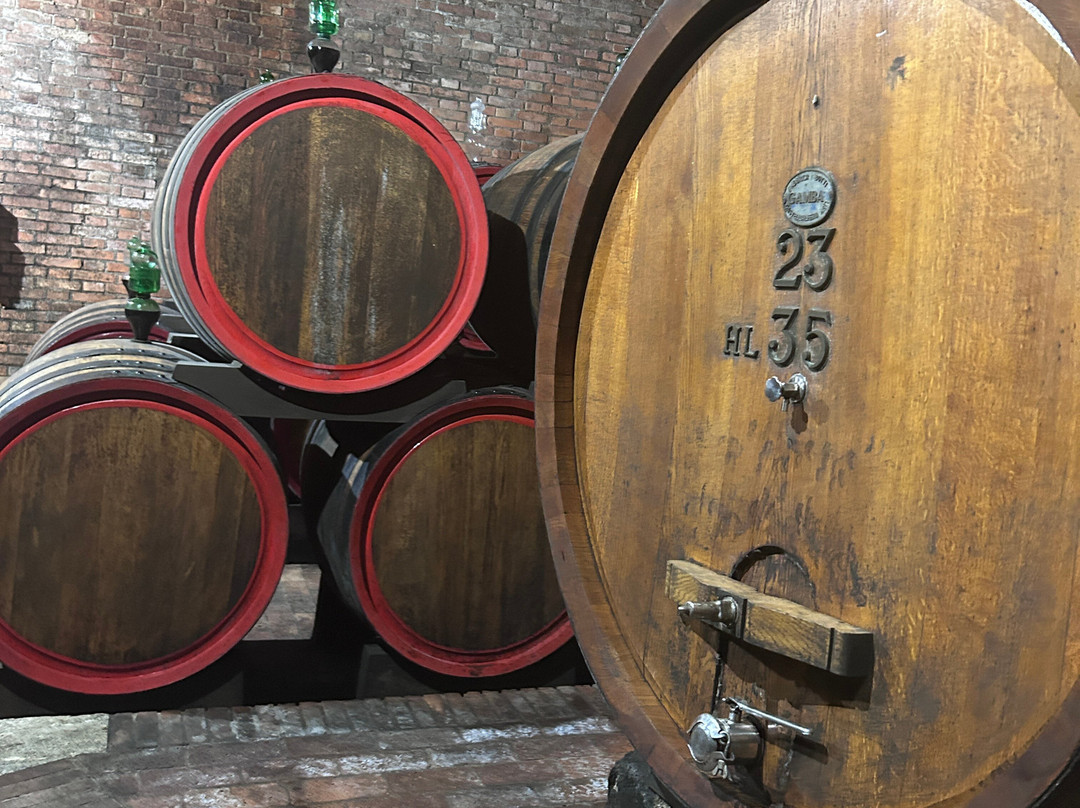 Cantina Fattoria della Talosa-蒙特普尔恰诺必去景点
