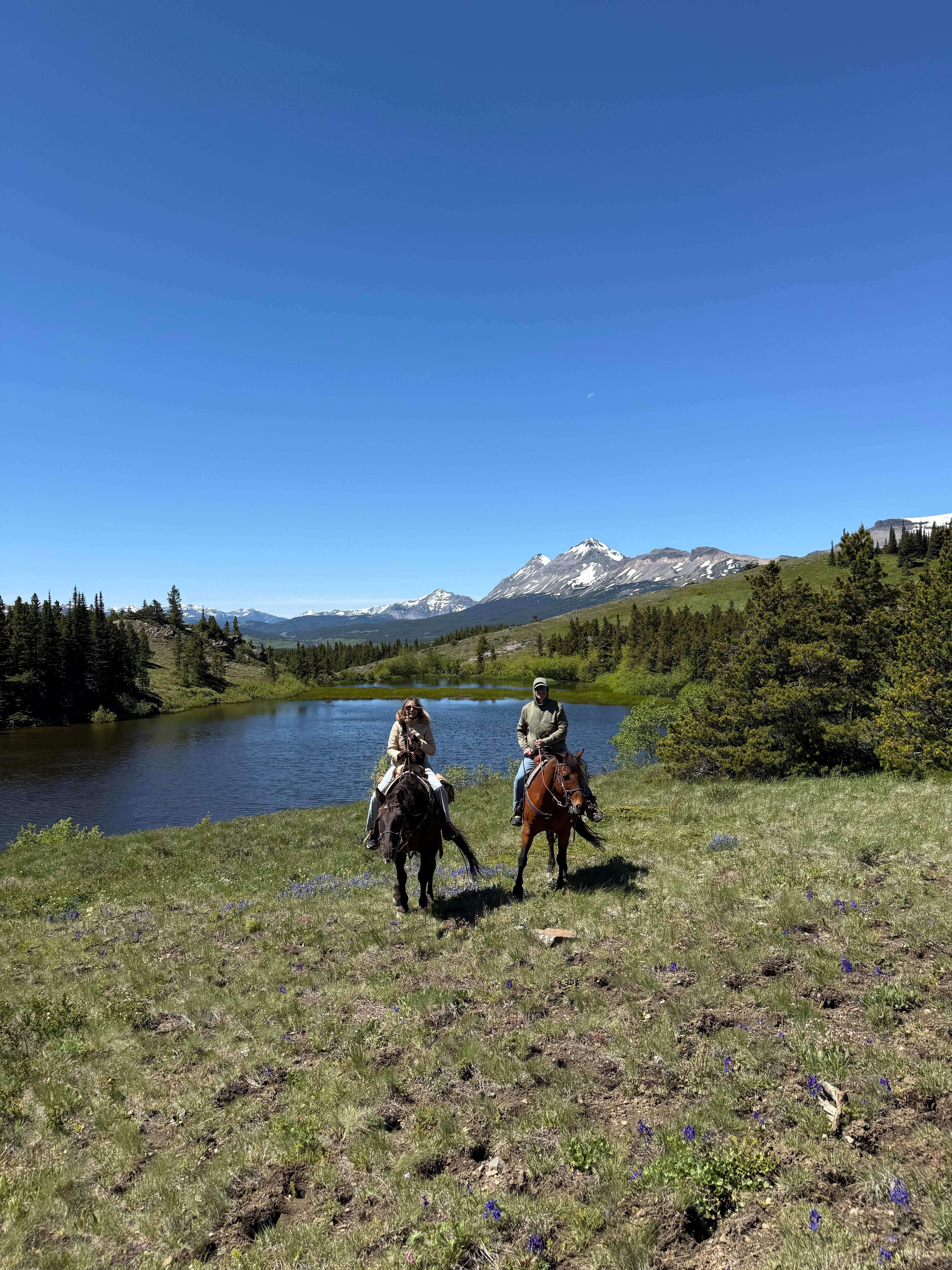 Bear Creek Guest Ranch-旅行者