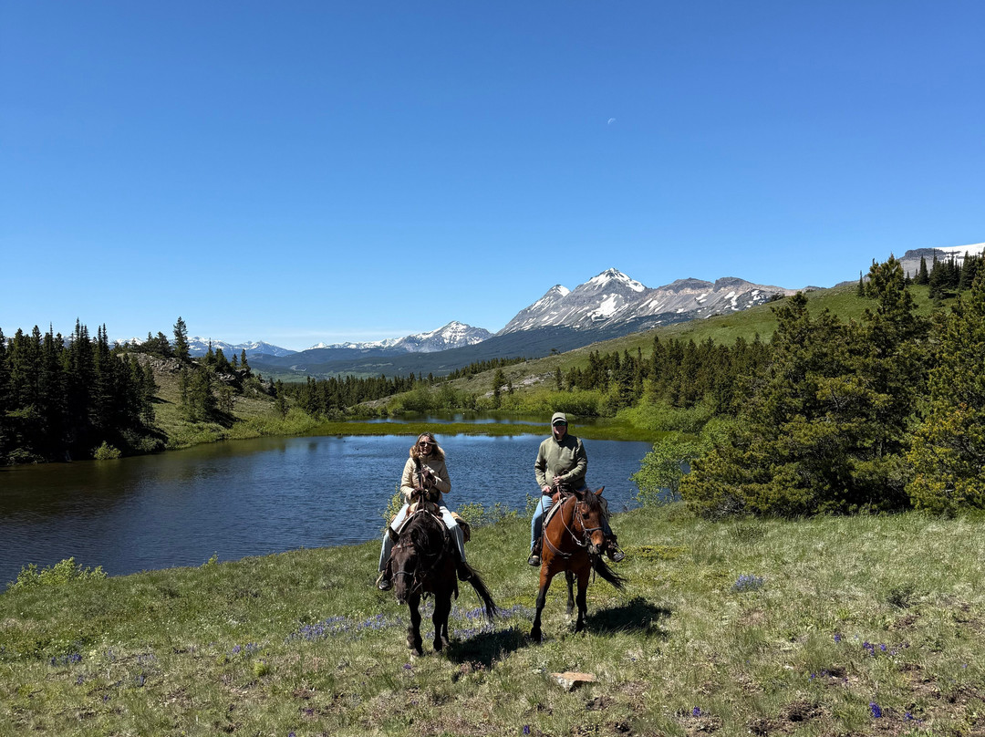 Bear Creek Guest Ranch主图