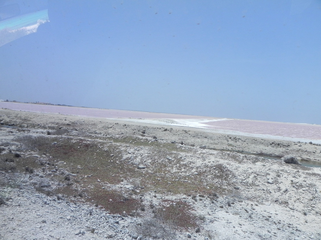 Salt Pier-Kralendijk必去景点