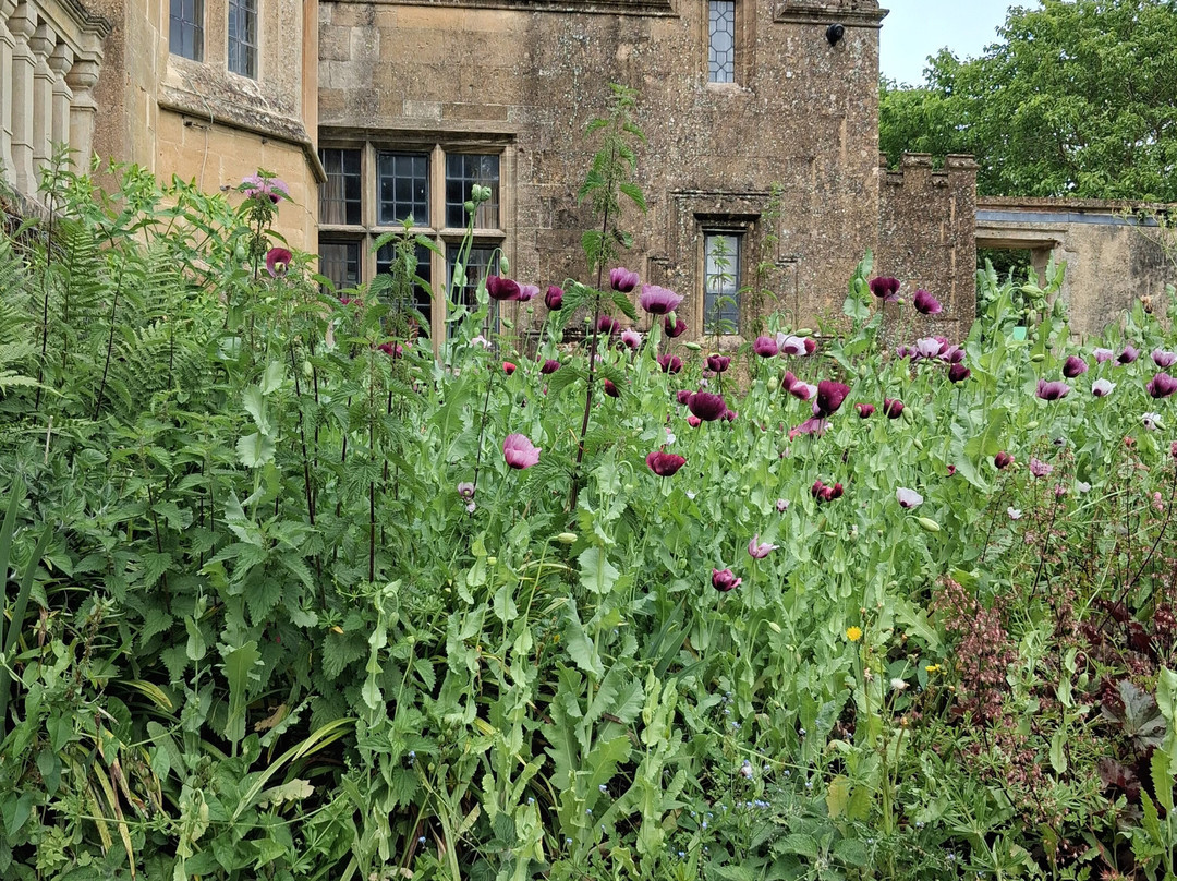 Stokesay Castle-拉德洛必去景点