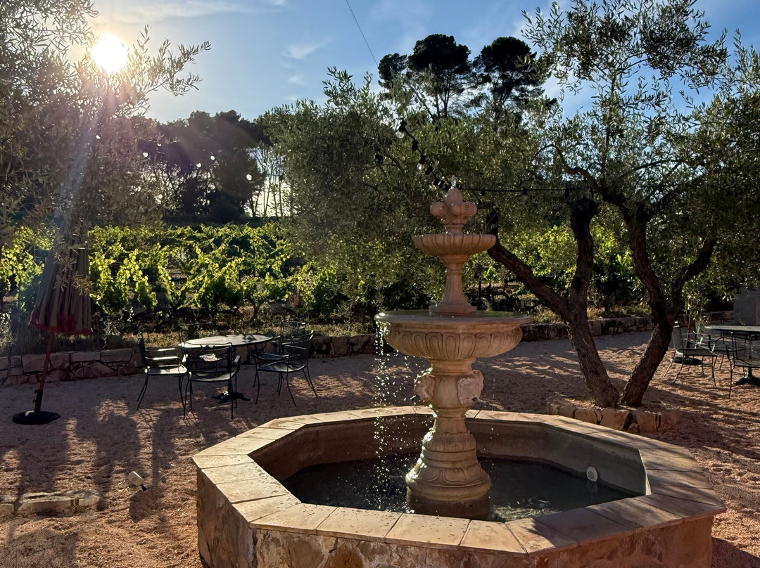Domaine Rabiega ****-Draguignan必去景点