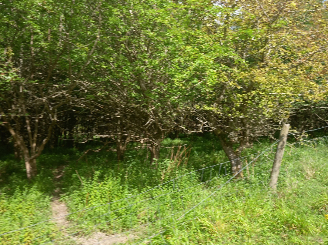 Watlington Hill-Watlington必去景点